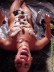 Lick me all over